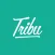 Tribu News